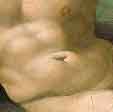 Michelangelo's Adam's navel 